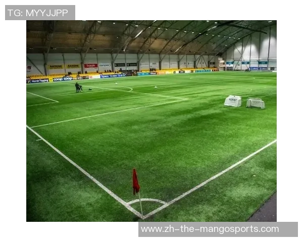 古怪，挪威女足球员药检呈阳性，污染源来自人造草坪的橡胶颗粒